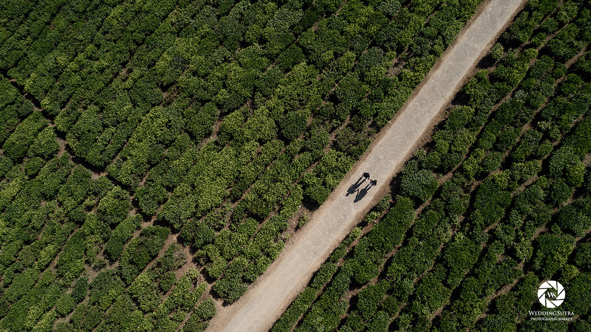 Photography Awards 2025 - Nominations for Wedding Photographer